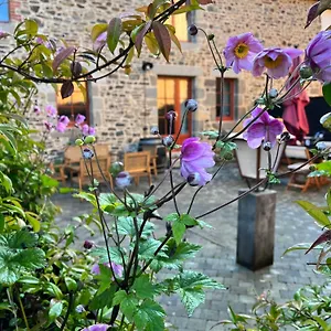 Domaine Du Tertre Ychot Maison d'hôtes